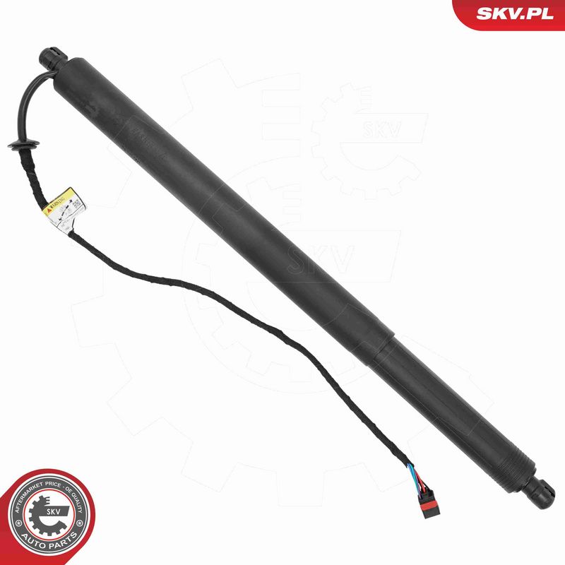 ESEN SKV 52SKV290 Electric Motor, tailgate