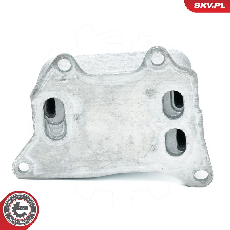 Prekės atitinka OEM kodą: 06L 117 021G
