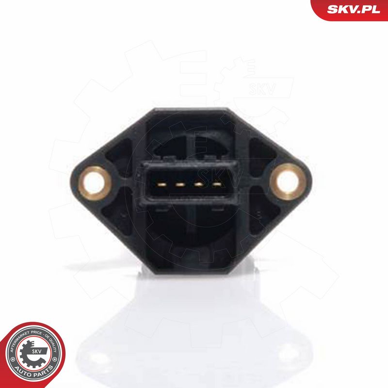 ESEN SKV 07SKV002 Mass Air Flow Sensor