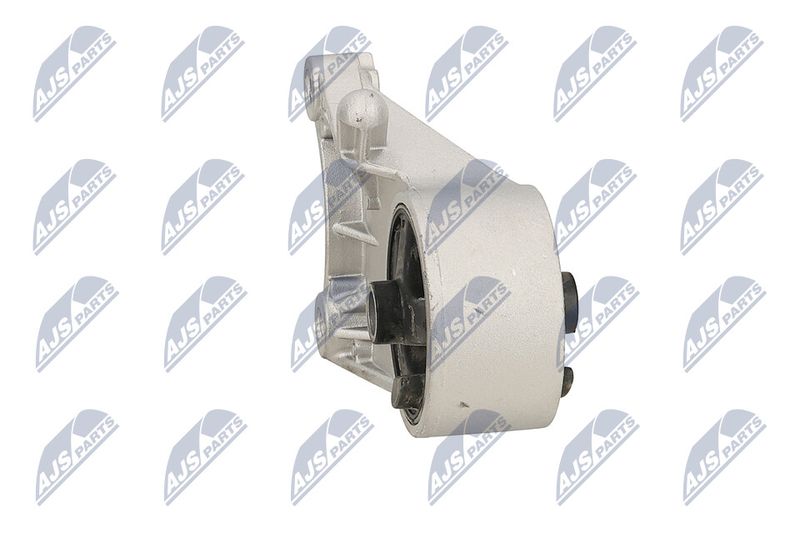 Paigutus, Mootor, NTY ZPS-PL-093