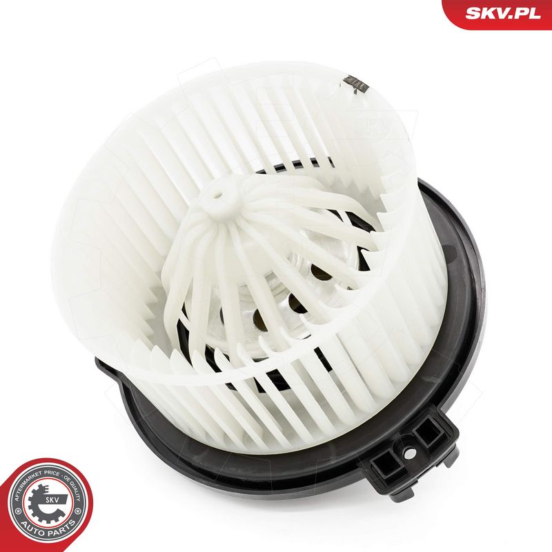 Salongipuhur, ESEN SKV...