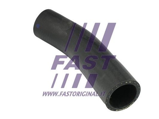 FT61763_2_1.JPG