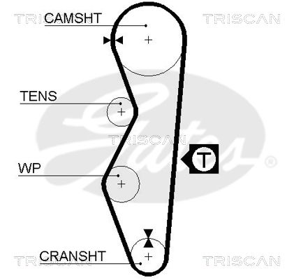 TRISCAN Fogasszíj 8645 5521