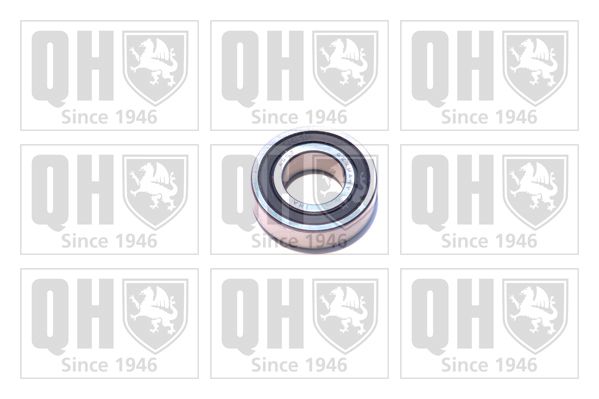 QH_XB9919.JPG