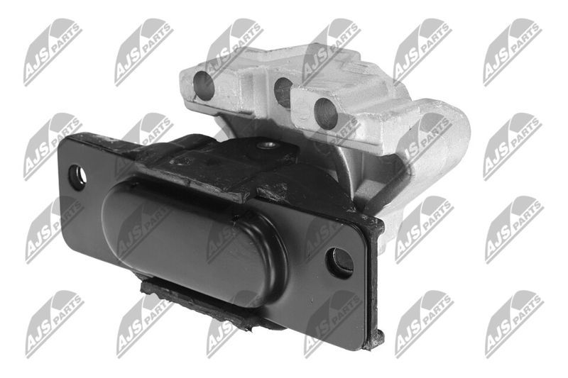 Paigutus, Mootor, NTY ZPS-CH-028