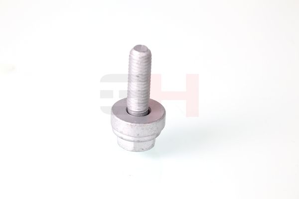 Vedruamordi tugilaager, GH GH-391513