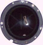 4010253.JPG