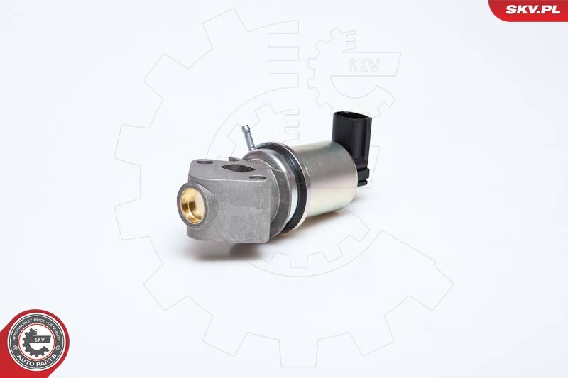 ESEN SKV 14SKV043 EGR Valve