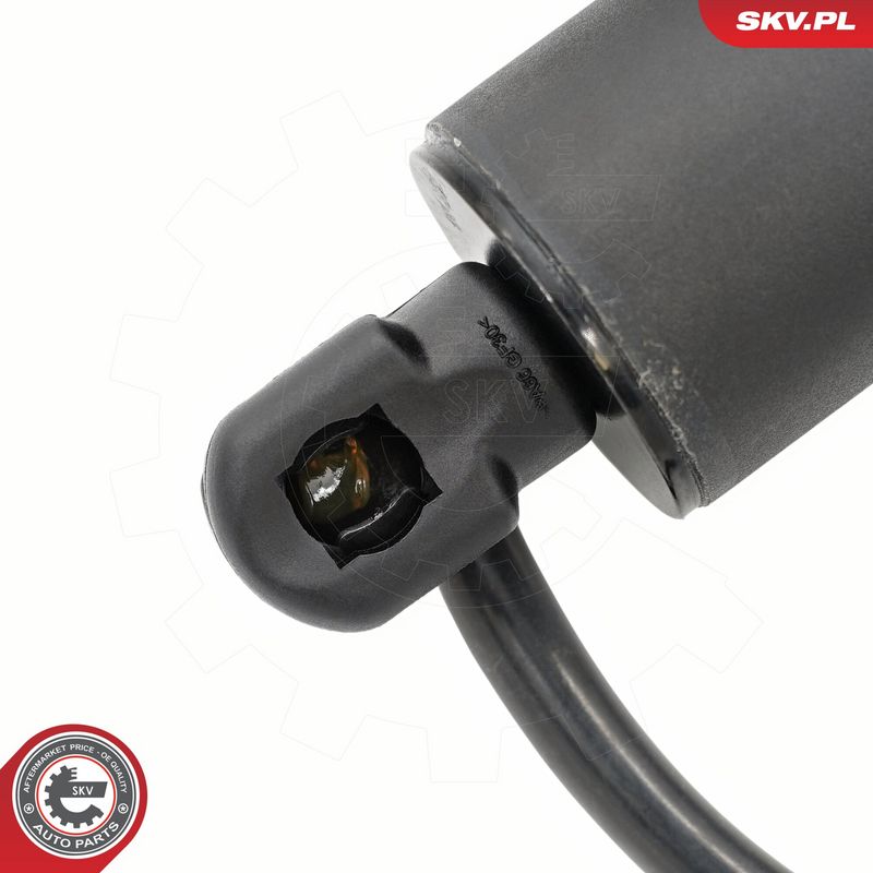 Elektrimootor, tagaluuk, ESEN SKV 52SKV223