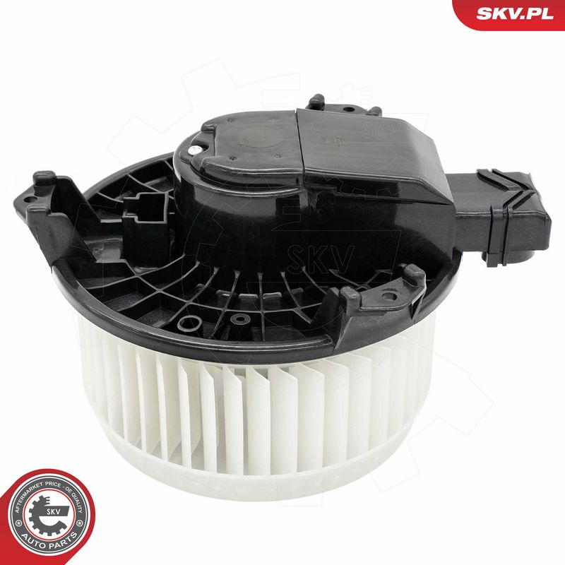 Salongipuhur, ESEN SKV...