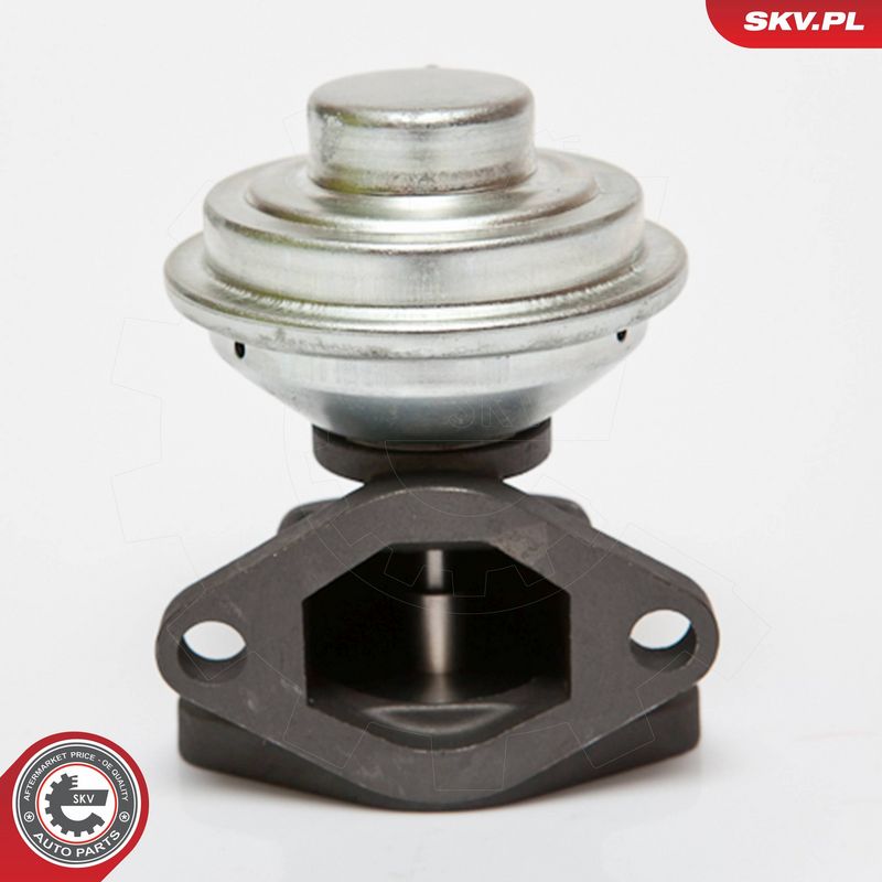 ESEN SKV 14SKV052 EGR Valve