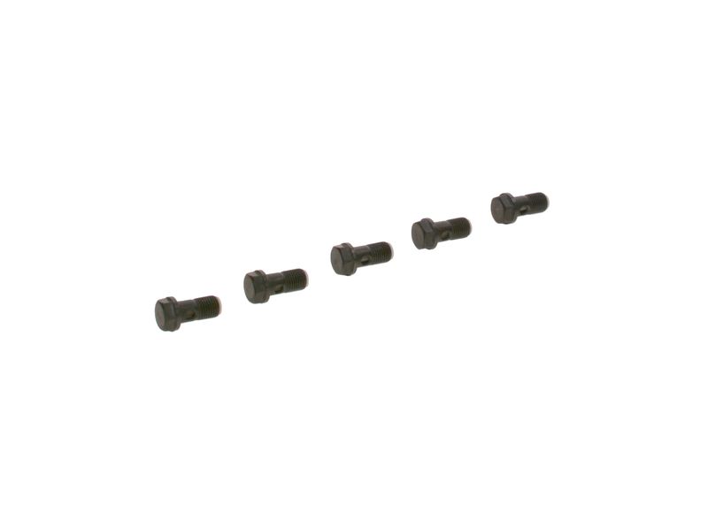 Surub F 019 D01 024 BOSCH