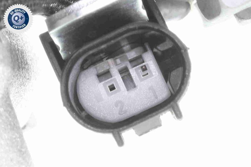 V30-15-0054_03.JPG