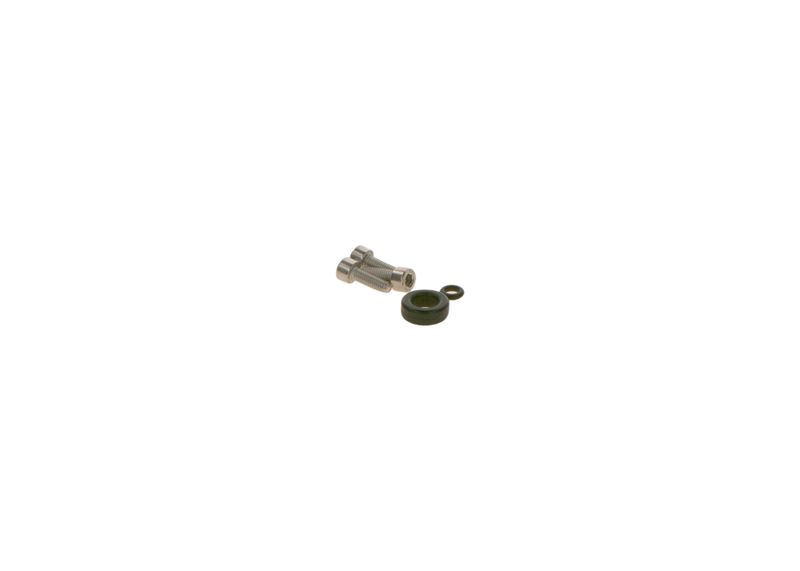 BOSCH F01C300131 Rubber Ring