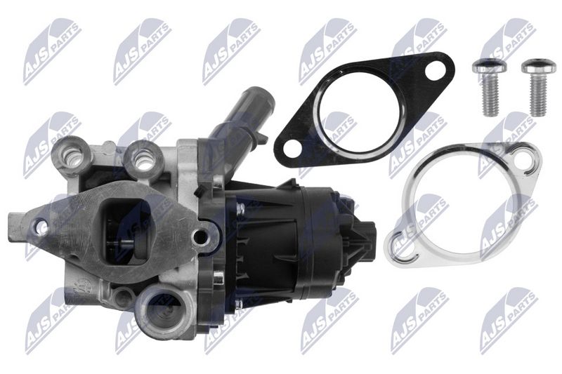 NTY EGR-VC-000 EGR Valve