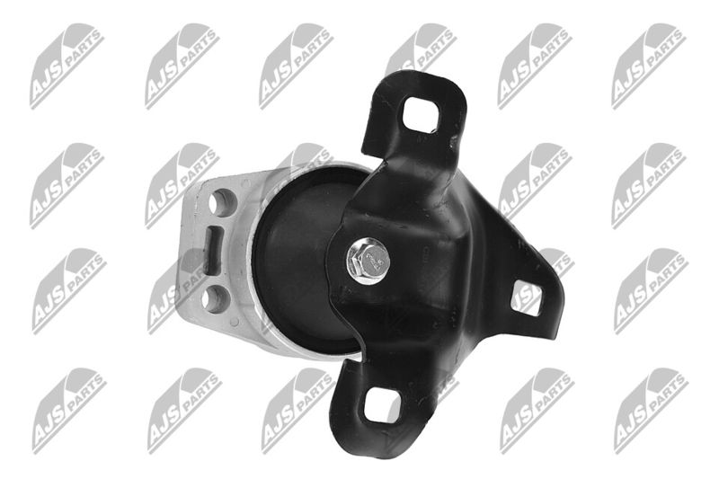 Paigutus, Mootor, NTY ZPS-FR-011