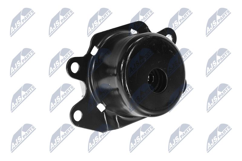Paigutus, Mootor, NTY ZPS-PL-053