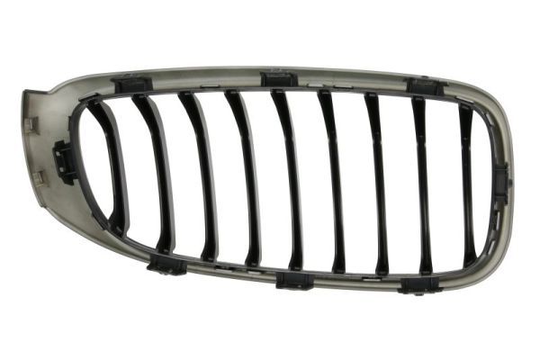 BLIC 6502-07-0081995P Radiator Grille