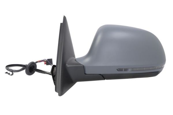BLIC 5402-25-0068310P Exterior Mirror