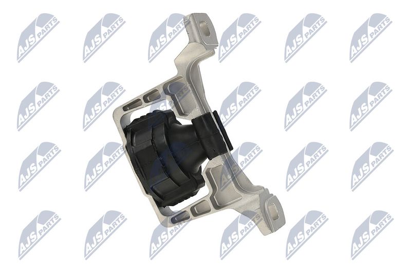 Paigutus, Mootor, NTY ZPS-FR-020