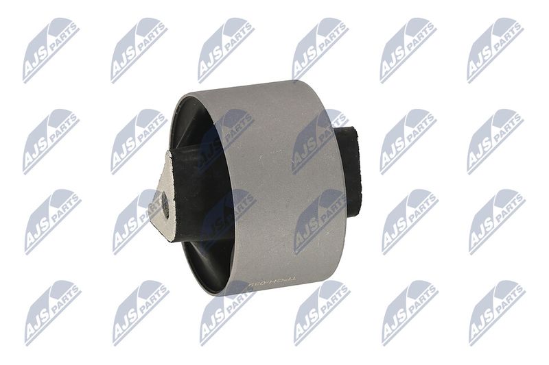 Paigutus, Mootor, NTY ZPS-CH-039