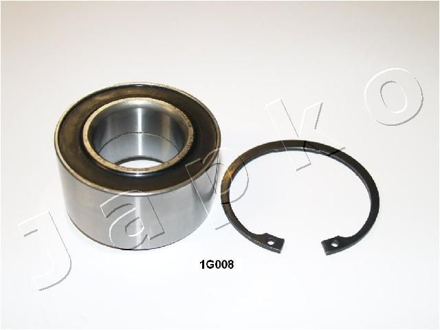 41G008_1.JPG