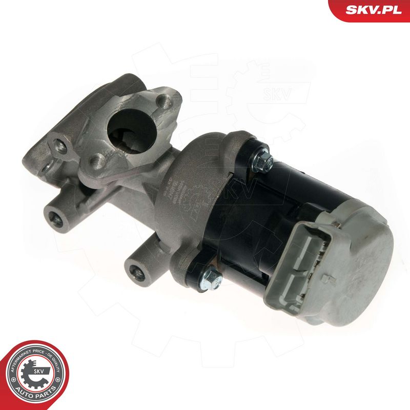 EGR-klapp, ESEN SKV 14SKV089