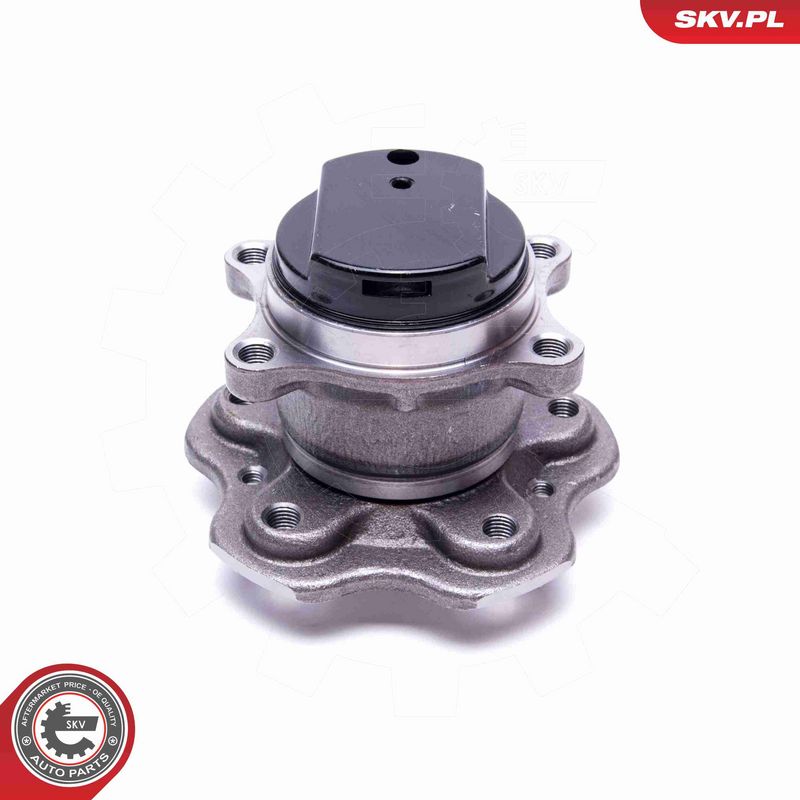 ESEN SKV 29SKV543 Wheel Bearing Kit