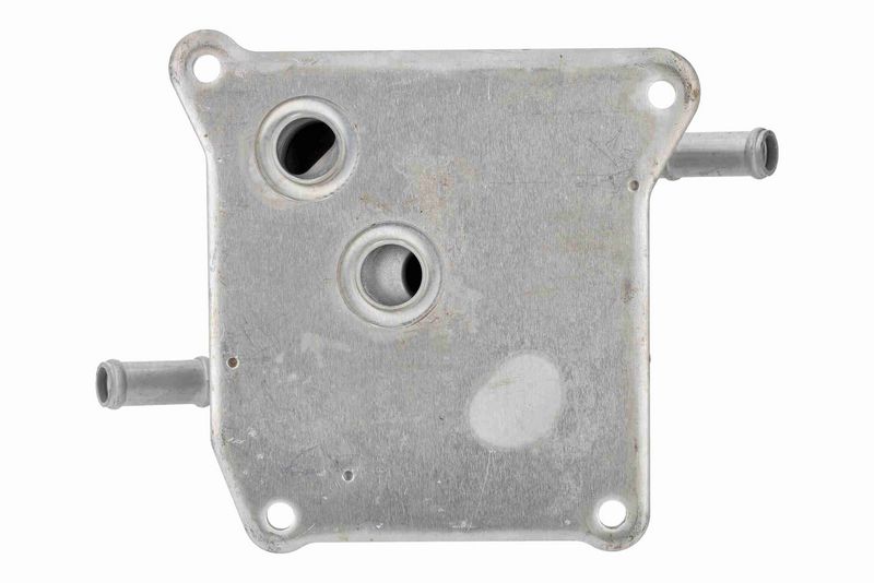 ACKOJA A38-60-0014 Oil Cooler, engine oil