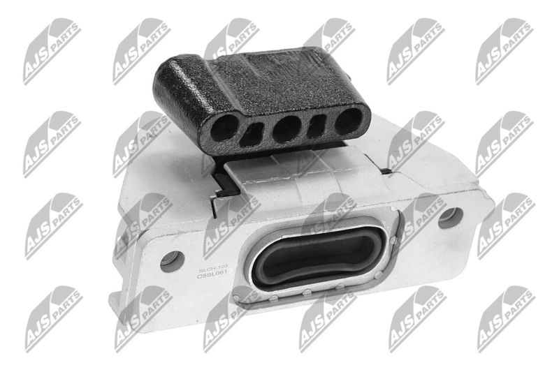 Paigutus, Mootor, NTY ZPS-CH-103