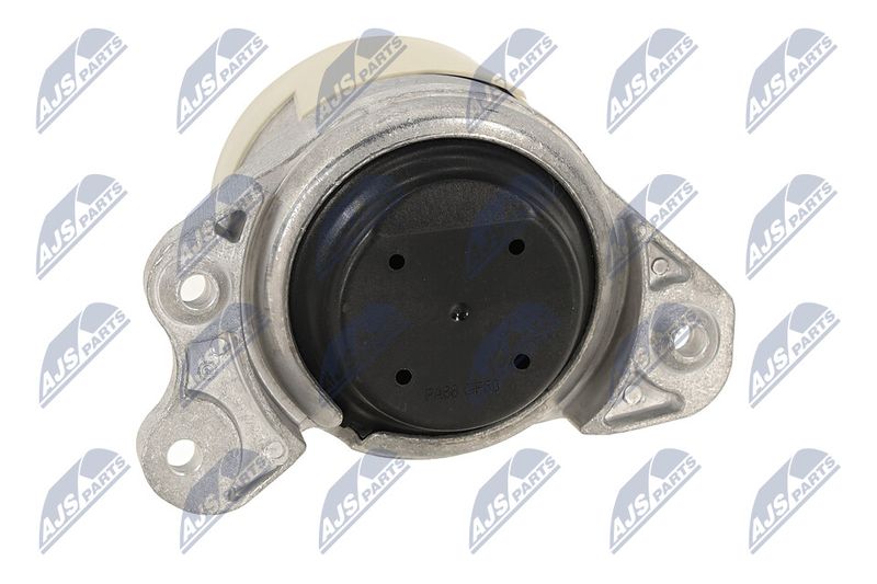 Paigutus, Mootor, NTY ZPS-ME-064