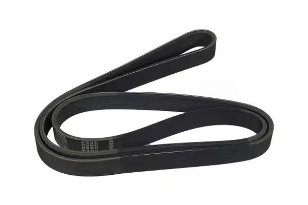 STELLOX 07-01666-SX V-Ribbed Belt