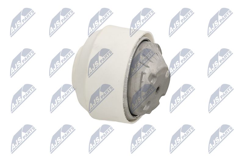 Paigutus, Mootor, NTY ZPS-ME-109