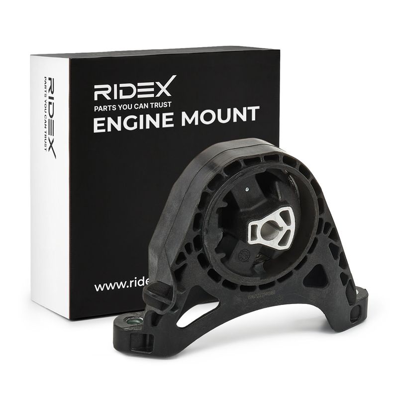 окачване, двигател RIDEX