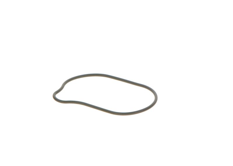 BOSCH 2440210028 Rubber Ring