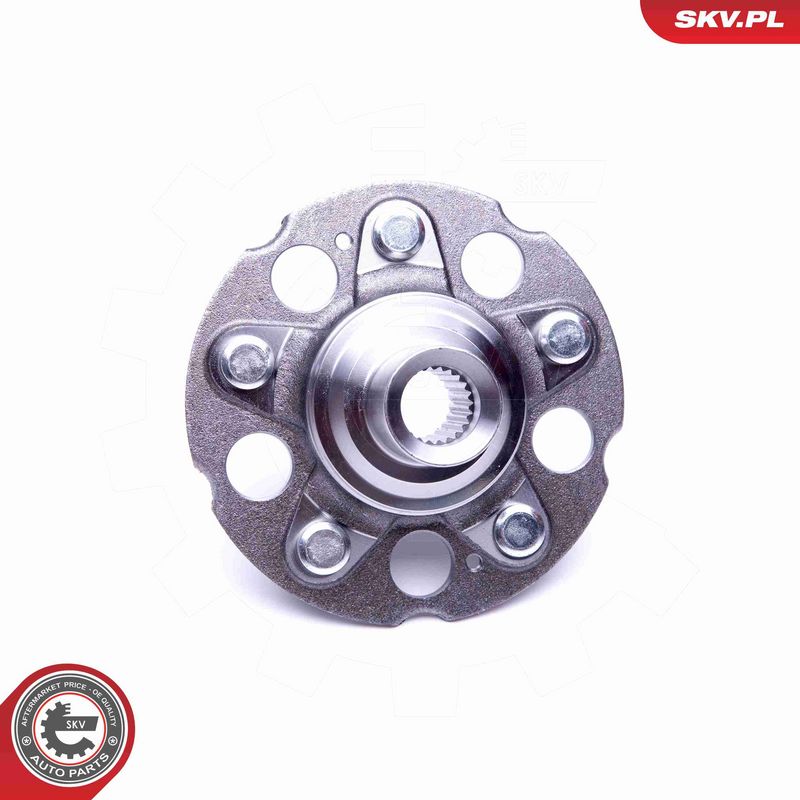 ESEN SKV 29SKV311 Wheel Bearing Kit
