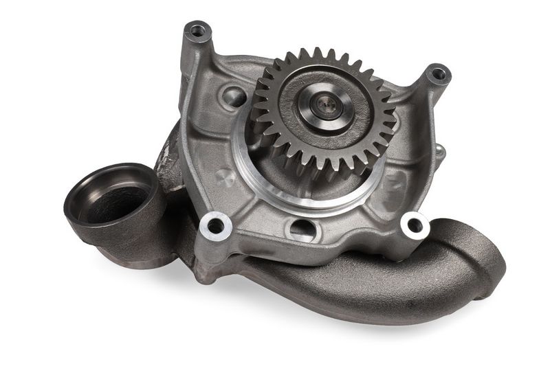 P9814 (1).JPG