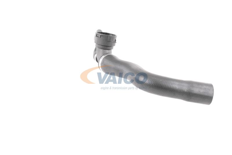 VAICO V30-3264 Radiator Hose