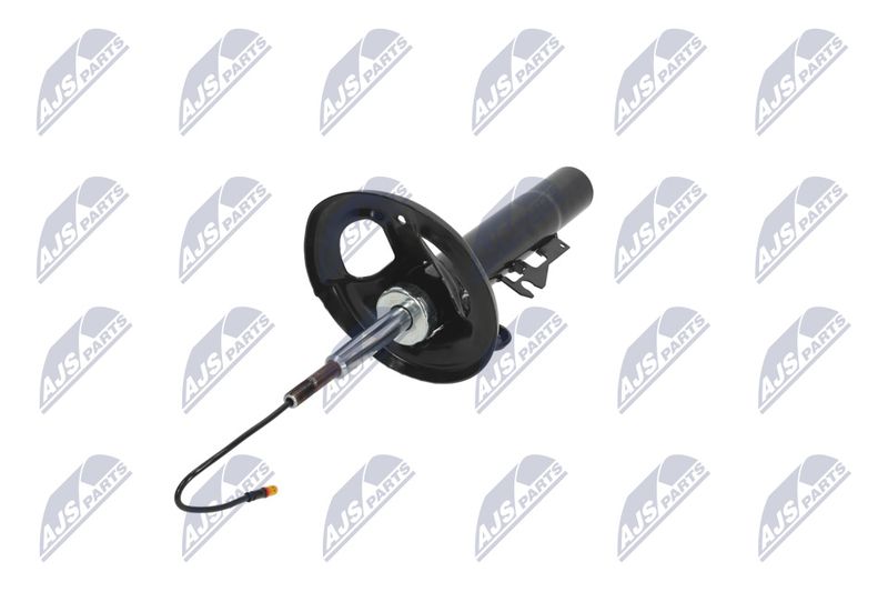 Amort, NTY A-PS-011