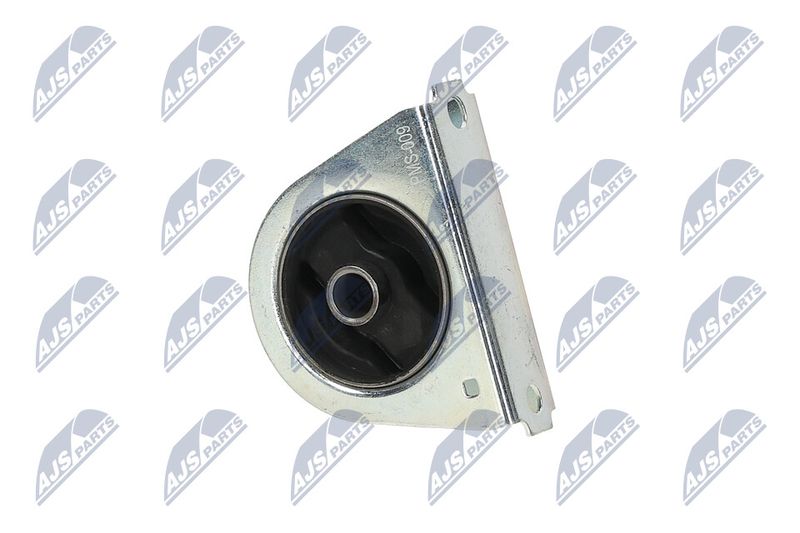 Paigutus, Mootor, NTY ZPS-MS-009