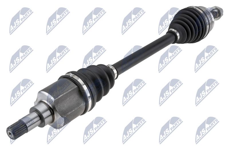 NPW-CT-158_1-WM.JPG