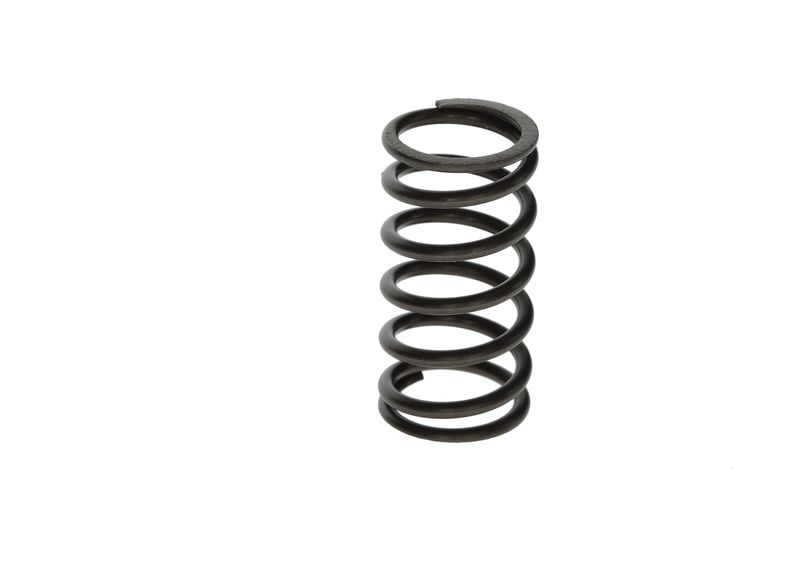 BOSCH F00N201853 Spring