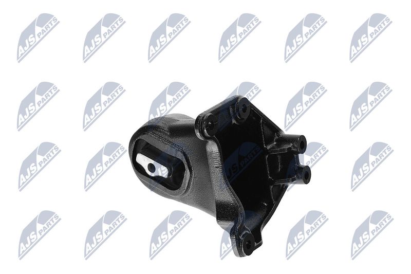 Paigutus, Mootor, NTY ZPS-CH-173