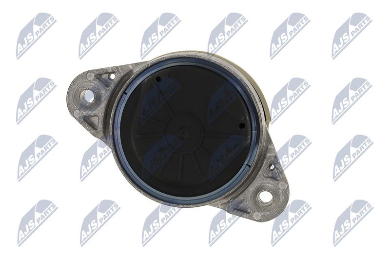 Paigutus, Mootor, NTY ZPS-ME-011