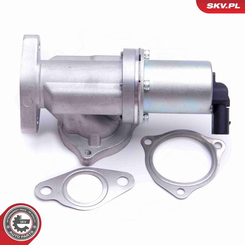 ESEN SKV 14SKV209 EGR Valve