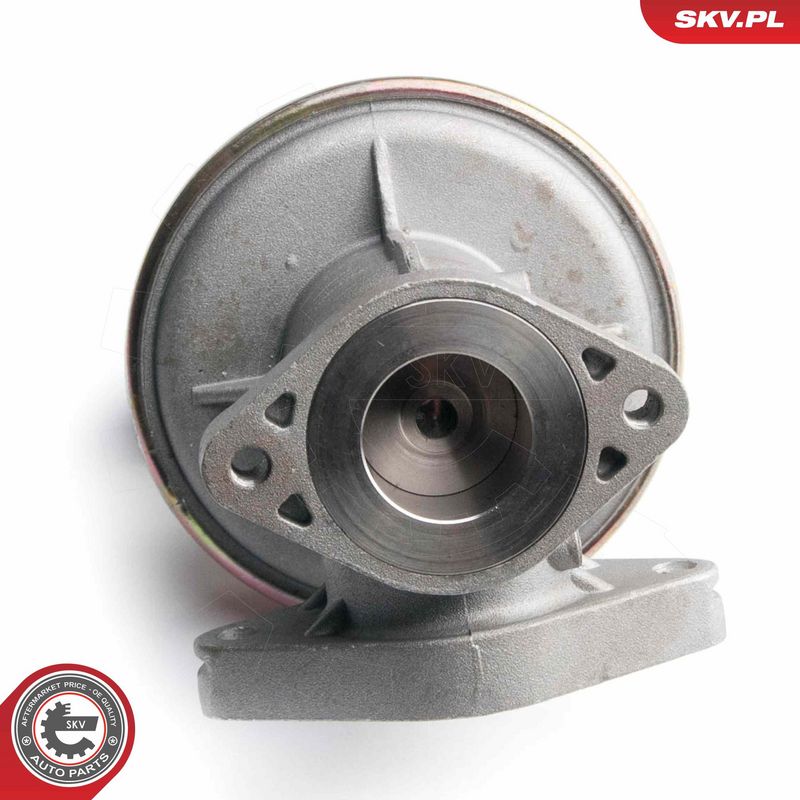 EGR-klapp, ESEN SKV 14SKV097