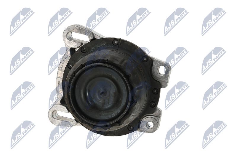 Paigutus, Mootor, NTY ZPS-FR-013