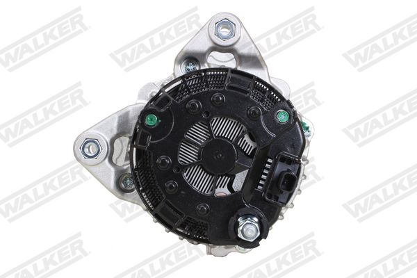 wal01797_5365853.JPG