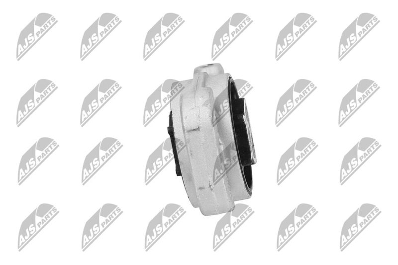Paigutus, Mootor, NTY ZPS-PL-080