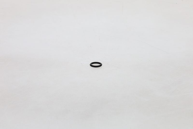 BOSCH F002A51088 Rubber Ring